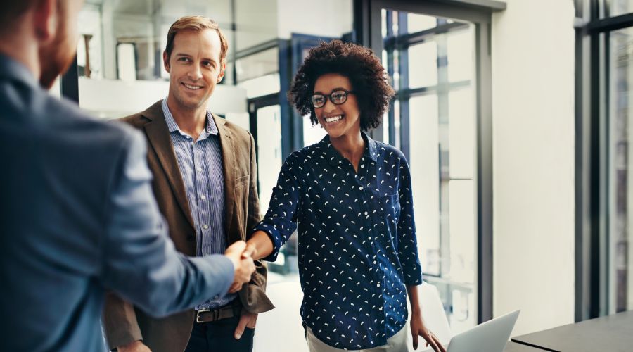 Professional woman shaking hands with professional man